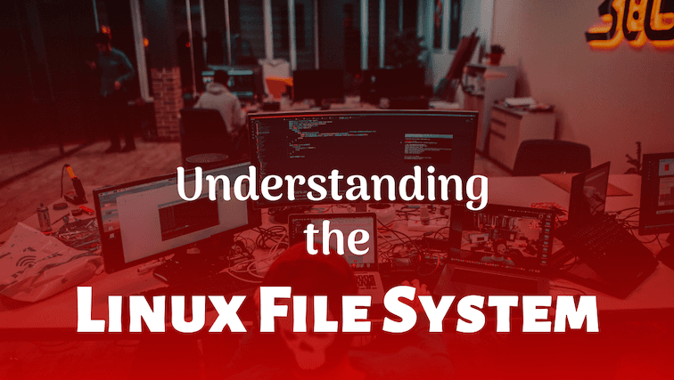 Exploring the Linux File System: A Detailed Overview